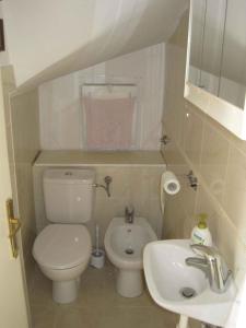 Apartments in Zadar - Zadar Riviera 17889