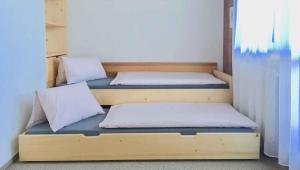Apartments in HarrachovRiesengebirge 2300