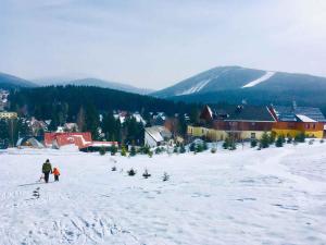 Apartments in HarrachovRiesengebirge 2300