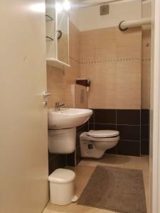 Apartment in Siofok - Balaton 20059