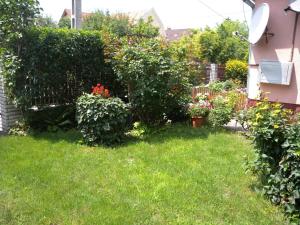 Holiday home in Siofok - Balaton 19801