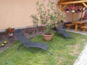 Apartment in Siofok - Balaton 19786