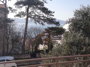 Studio in Novi Vinodolski 15343