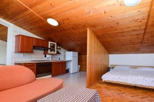 Apartment Pjescana Uvala - Istrien 11401