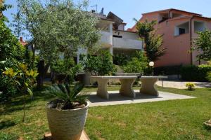 Apartment Pjescana Uvala/Istrien 11401