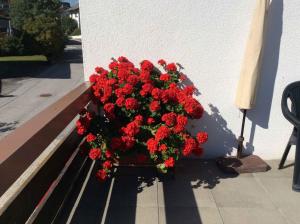 Apartment in Fulpmes - Tirol 711