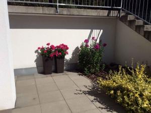 Apartment in Fulpmes - Tirol 711