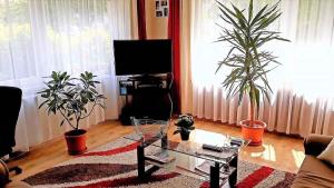 Apartment 1 room in Apartment in Siofok/Balaton 19854
