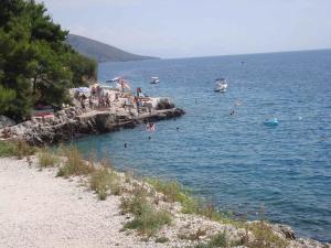 Apartment in Okrug Gornji 6169