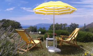 Holiday home in Tucepi 6624