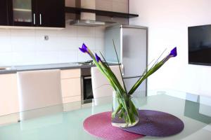 Apartment in Grebastica 7034