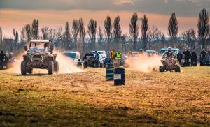 Apartments in Cserszegtomaj - Balaton 18286