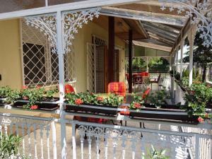 Holiday home in Siofok - Balaton 19827