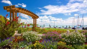 Apartment in Balatonfüred - Balaton 18746