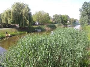 Holiday Home Balatonmariafurdo, Somogy 1