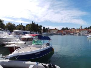 Apartment in Vrbnik/Insel Krk 13612 
