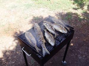 Holiday home in Slatine - Insel Ciovo 6128