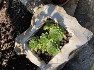 Holiday home in Vela Luka 6375