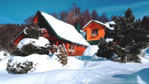 Holiday home Marianska - Erzgebirge 1683