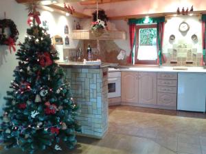 Holiday home Marianska - Erzgebirge 1683