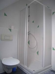 Apartment in Frantiskovy Lazne 1609