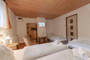 Apartment Svoboda nad upou 2