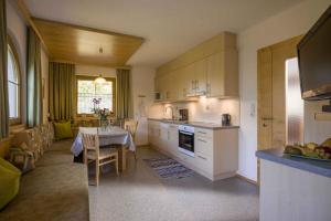 Apartment Zell am Ziller 2