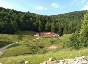 Dulović - KATUN POTOCI - Paljevine