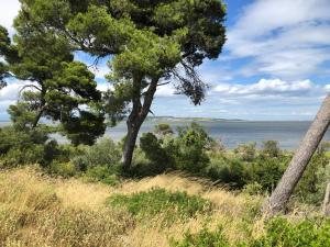 Campings Mobil home 4 personnes Port la nouvelle : photos des chambres