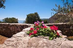 Peaceful apartment with beautiful sea view