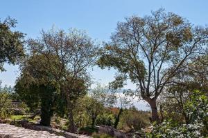 Peaceful apartment with beautiful sea view