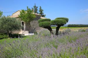 B&B / Chambres d'hotes Les Chambres Entre Vigne et Garrigue - Maison CHENET- Les Collectionneurs : photos des chambres