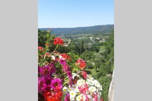 Appartements Lou paradiu du verdon : photos des chambres