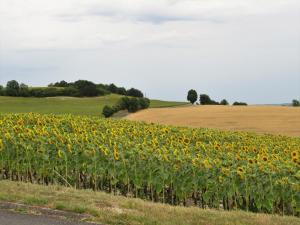 Maisons de vacances Les Vignes : photos des chambres