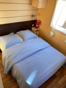 B&B / Chambres d'hotes Gite Lo Soulenquo a Fonteilles : photos des chambres