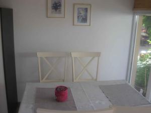 Holiday home in Rovinj - Istrien 11804