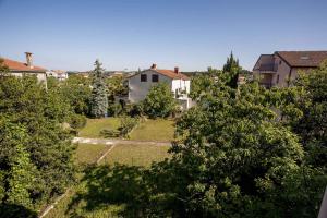 Apartment in Rovinj - Istrien 11491