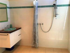 Waratah Bay Tree Tops Escape