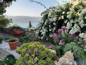 Holiday Dreamy Art Cottage with private courtyard and sea view Samos Greece