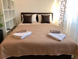 Modern Studio (Institut Majka i Dete)