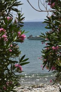 Seaside home in Kardiani/Giannaki bay - Agnes's Home Tinos Greece