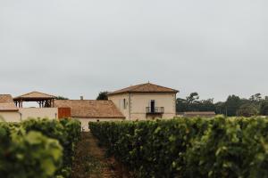 Maisons d'hotes Gite du Chateau Le Conte au coeur du vignoble de Saint Emilion : photos des chambres