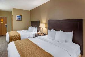 Queen Room with Two Queen Beds - Non-Smoking room in Comfort Inn Evanston I-80