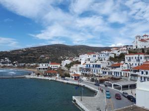 BLUE VIEW Andros Greece