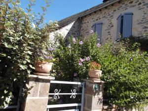 Maisons de vacances gites des abeilles : photos des chambres