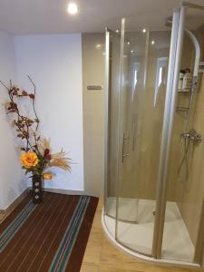 Chata nad Bystrzykiem - Apartament Karpacz