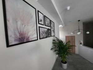 Rezydencja Biały Dworek