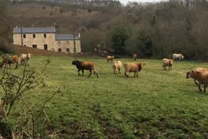 Casa Rural en Valadouro Serra do Xistral Lugo En medio de la Naturaleza - Lagoa