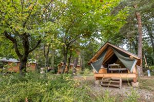 Campings Camping Osenbach : photos des chambres