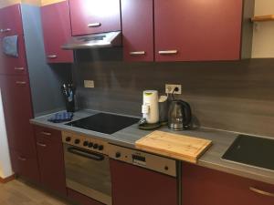 Appartements Gite de la Salamandre - 4 a 8 personnes : photos des chambres